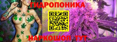 кокс Рязань