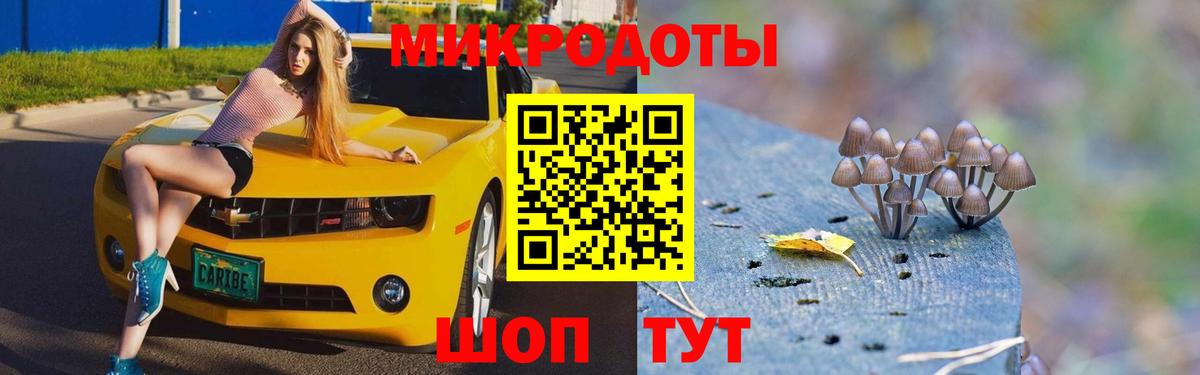 Псилоцибиновые грибы Psilocybe  Вход с VPN  Галлюциногенные грибы мицелий  Новочебоксарск 